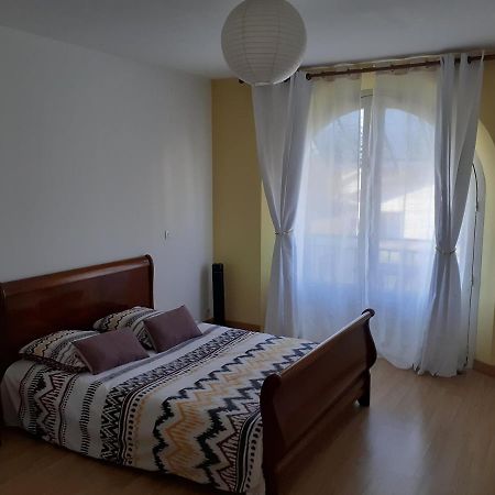 Appartement Spacieux Et Lumineux Oloron-Sainte-Marie Buitenkant foto